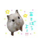 はむちゃんず〜2匹のシロクロ〜（個別スタンプ：27）