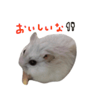 はむちゃんず〜2匹のシロクロ〜（個別スタンプ：29）