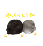 はむちゃんず〜2匹のシロクロ〜（個別スタンプ：31）