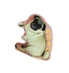 Very cute pug dog（個別スタンプ：4）