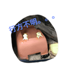 ヒョウモントカゲモドキ___（個別スタンプ：3）