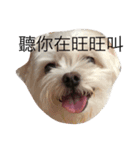 Rubby Daily（個別スタンプ：1）