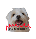 Rubby Daily（個別スタンプ：2）