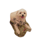 Rubby Daily（個別スタンプ：3）