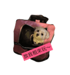 Rubby Daily（個別スタンプ：4）