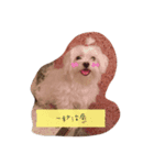 Rubby Daily（個別スタンプ：5）