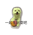 Rubby Daily（個別スタンプ：7）