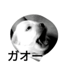 monotone puppies（個別スタンプ：2）