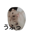 monotone puppies（個別スタンプ：4）