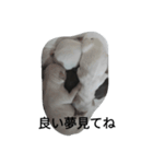 monotone puppies（個別スタンプ：6）