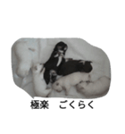 monotone puppies（個別スタンプ：7）