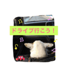 ti--sun smile？（個別スタンプ：28）