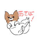 普女子（個別スタンプ：37）