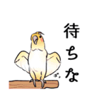 普女子（個別スタンプ：38）