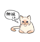 普女子（個別スタンプ：39）