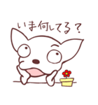 片眉！白いチワワンの恋人と使うスタンプ（個別スタンプ：9）