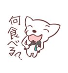 片眉！白いチワワンの恋人と使うスタンプ（個別スタンプ：23）