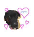 I love REN！（個別スタンプ：9）