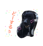 I love REN！（個別スタンプ：11）