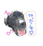 I love REN！（個別スタンプ：12）