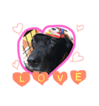 I love REN！（個別スタンプ：13）