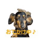 だっくすファミリー❤（個別スタンプ：4）