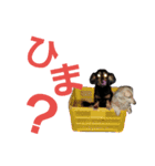 だっくすファミリー❤（個別スタンプ：9）