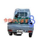だっくすファミリー❤（個別スタンプ：14）