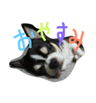 ぶさかわライフ⁉︎（個別スタンプ：9）