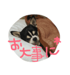 ぶさかわライフ⁉︎（個別スタンプ：14）