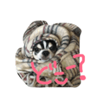 ぶさかわライフ⁉︎（個別スタンプ：16）