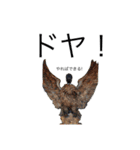 sachicken2（個別スタンプ：9）