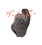 チンチラのぷー太郎（個別スタンプ：2）