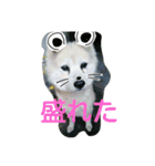 我が家のタロー（個別スタンプ：14）