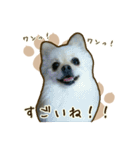 ポメラニアンず*②（個別スタンプ：30）