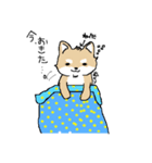 柴犬☆手話付（個別スタンプ：1）