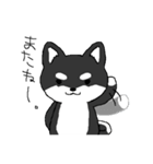 柴犬☆手話付（個別スタンプ：8）