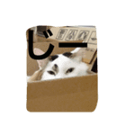 ぺる太の日常（個別スタンプ：4）
