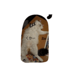 ぺる太の日常（個別スタンプ：5）