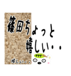 ★篠田さんの名前スタンプ★（個別スタンプ：1）