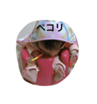 わかぽん（個別スタンプ：9）