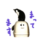 ジトめネコ（個別スタンプ：6）