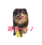 Chip's huwahuwa diary（個別スタンプ：8）