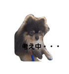 Chip's huwahuwa diary（個別スタンプ：10）