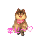 Chip's huwahuwa diary（個別スタンプ：18）