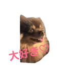 Chip's huwahuwa diary（個別スタンプ：23）