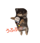 Chip's huwahuwa diary（個別スタンプ：28）