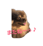 Chip's huwahuwa diary（個別スタンプ：32）