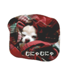 ばんびは犬です（個別スタンプ：1）