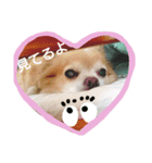 ばんびは犬です（個別スタンプ：2）